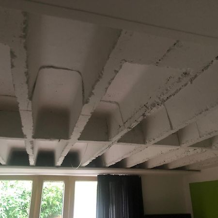 Ferienwohnung Huebschle Constance Extérieur photo